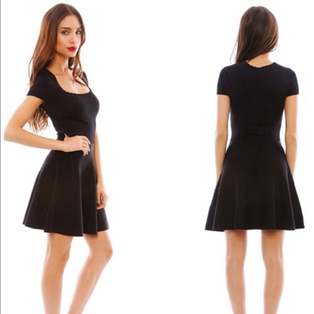 Torn by Ronny Kobo Skater Dress Blue Metallic